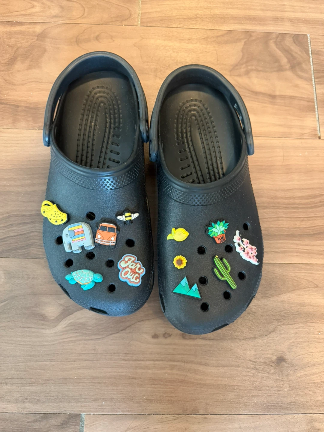 Crocs Clogs with Charms Size 8/10