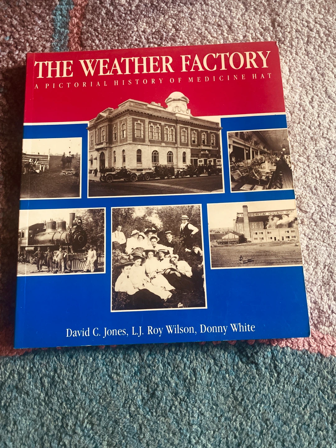 The Weather Factory: A Pictorial History of Medicine Hat Book