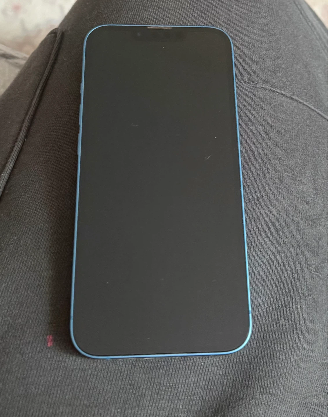 Apple iPhone 13 Mini - Blue - photo 2