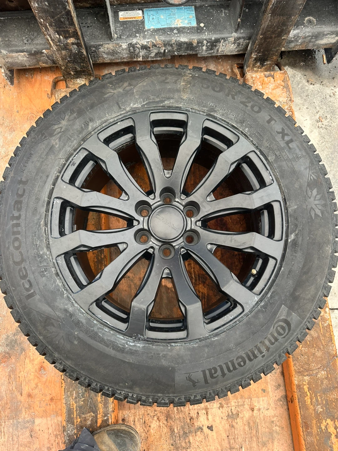 One tire and a rim Continental Winter Tire with Alloy Rim