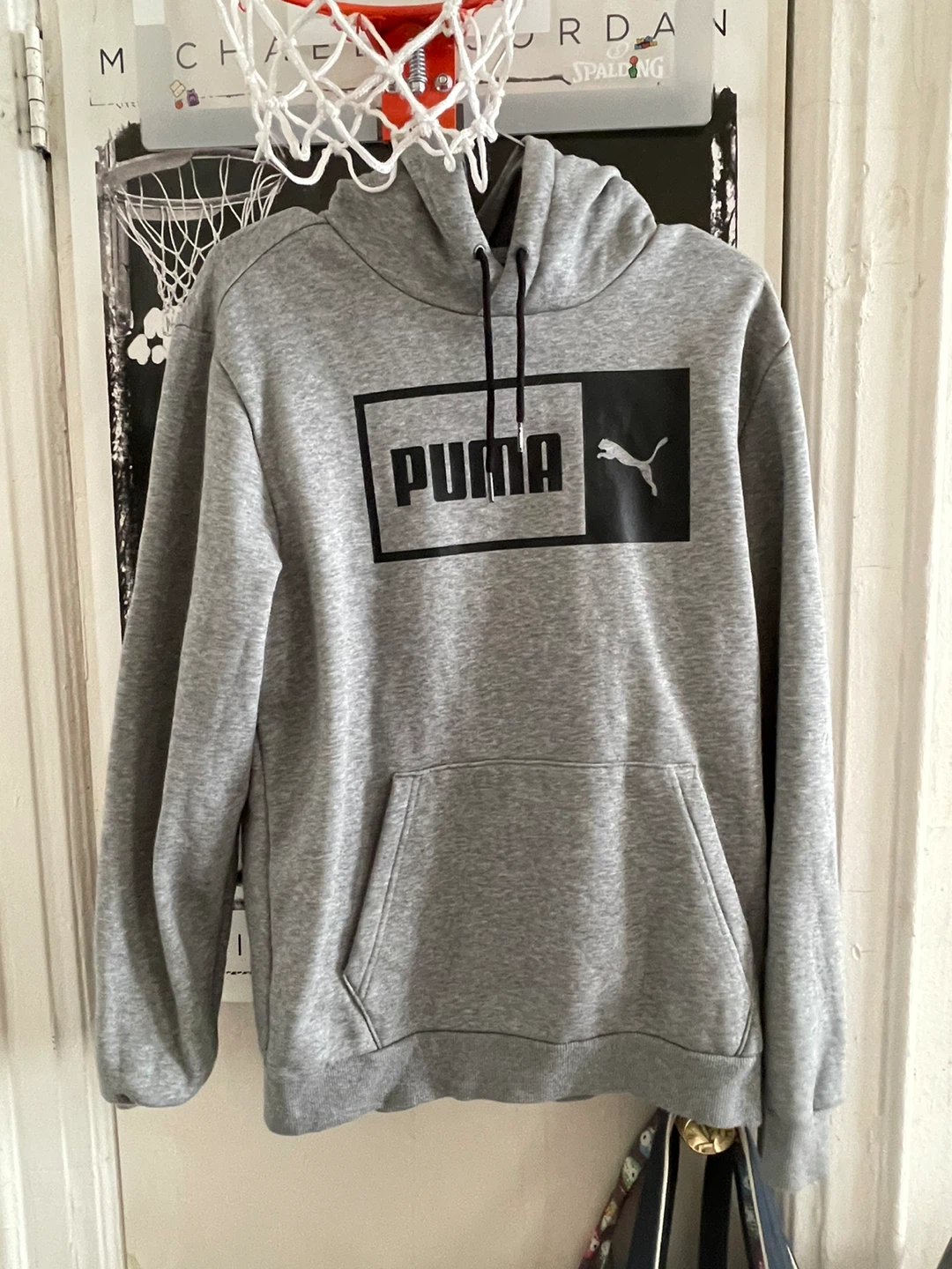Puma Grey Hoodie