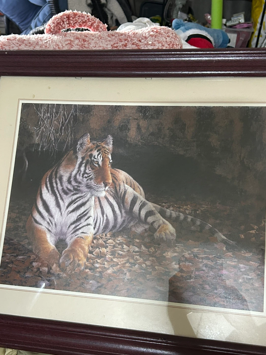 Framed Tiger Print
