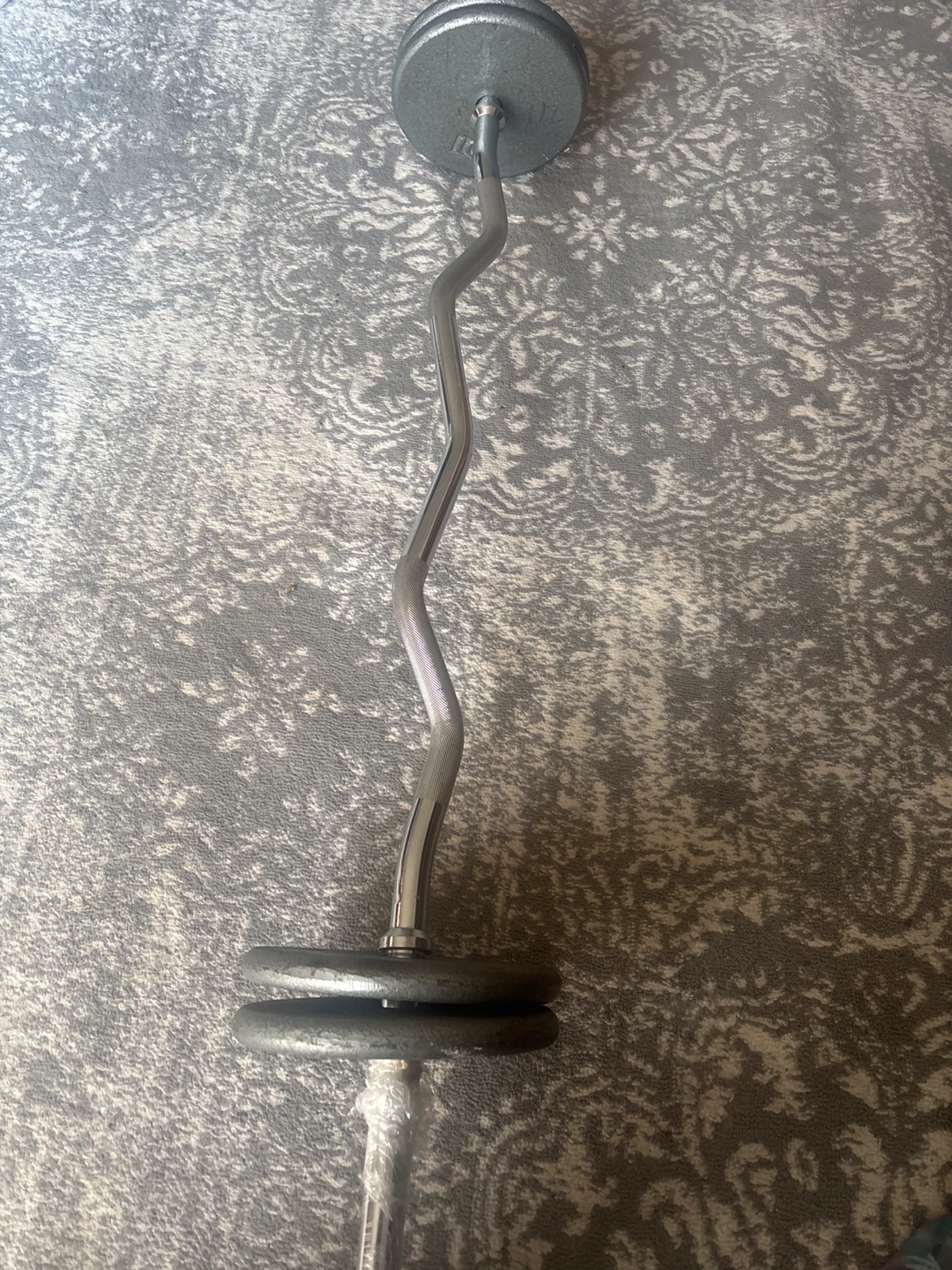 Curved Barbell with Weights