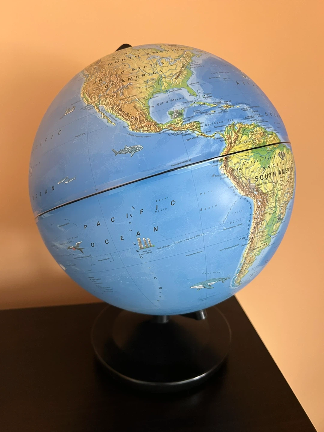 Thames & Kosmos Day & Night Globe - photo 5