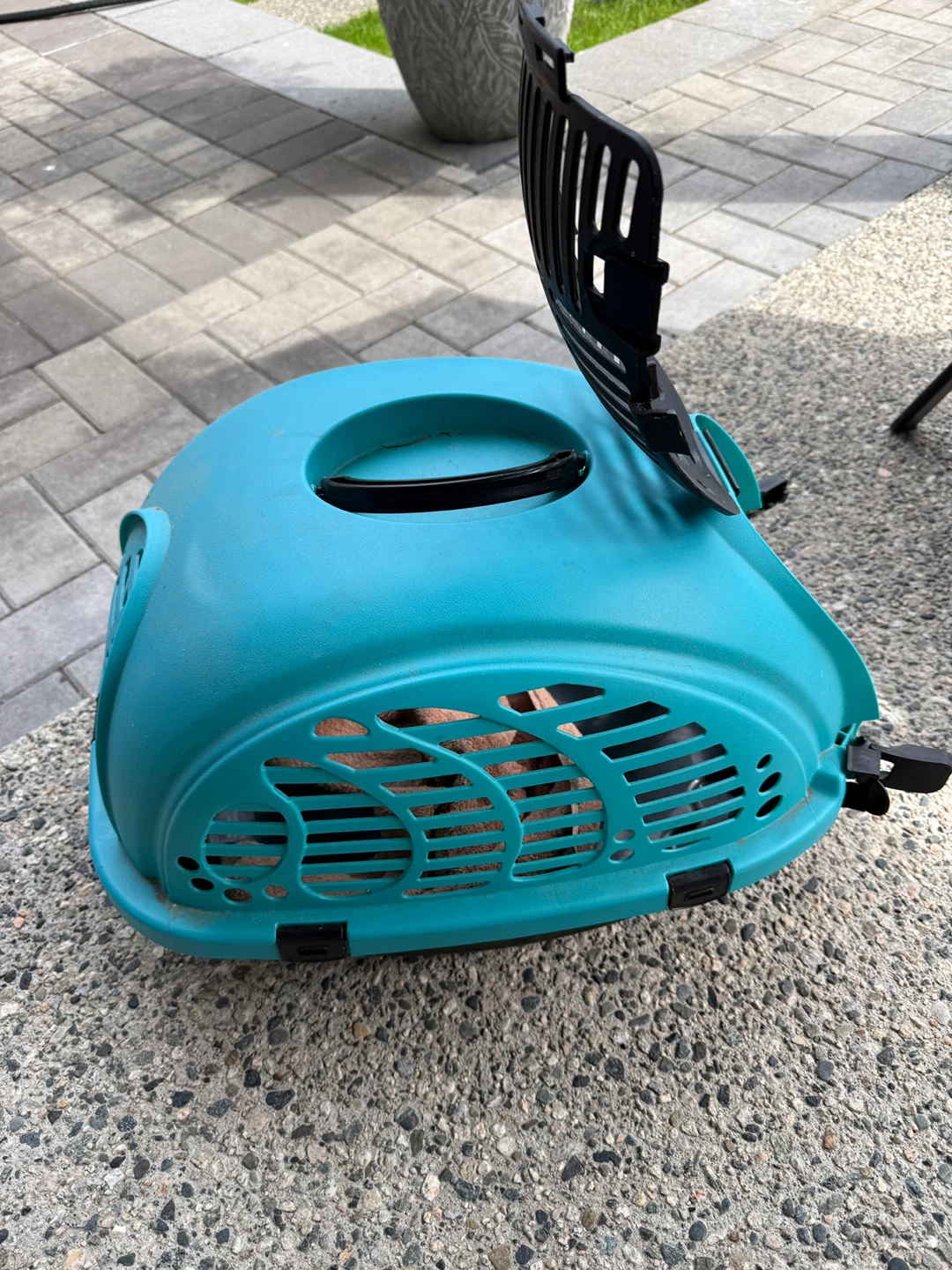 Small pet carrier.