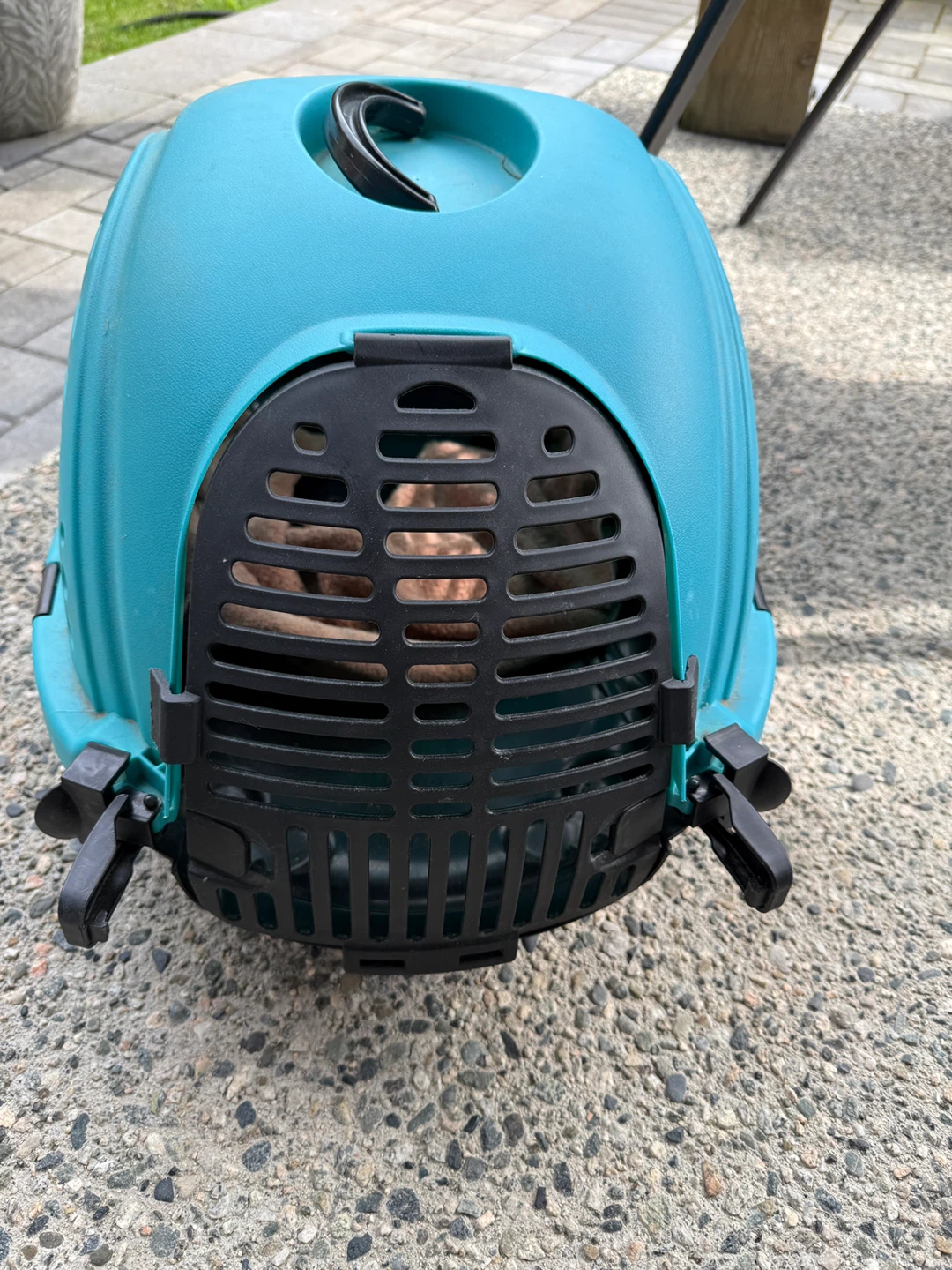Small pet carrier. - photo 3