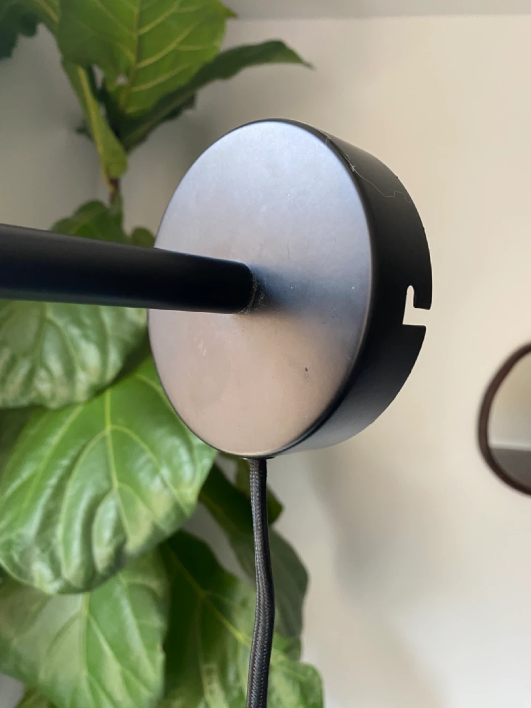 EQ3 Petrie Adjustable Wall Lamp - photo 3