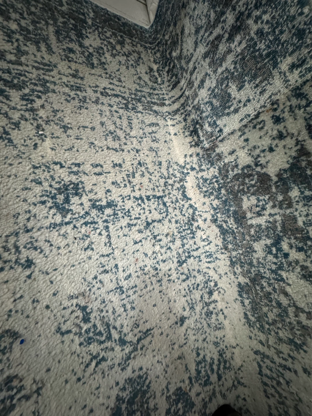 Large Distressed Medallion Area Rug  8 x 11 - photo 4