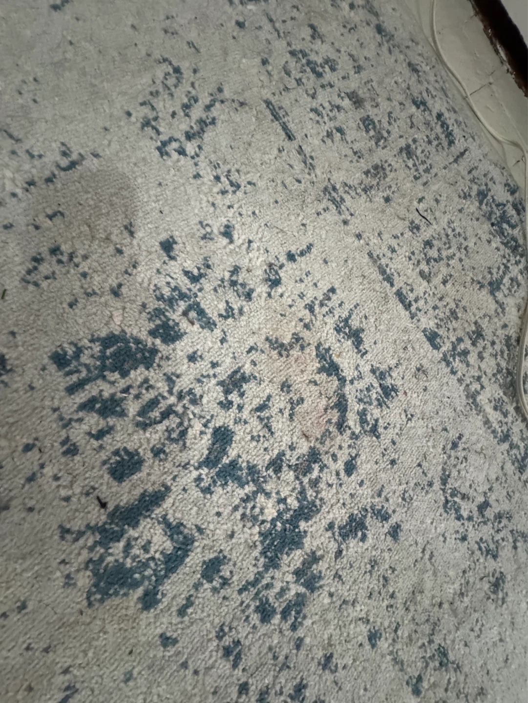 Large Distressed Medallion Area Rug  8 x 11 - photo 5