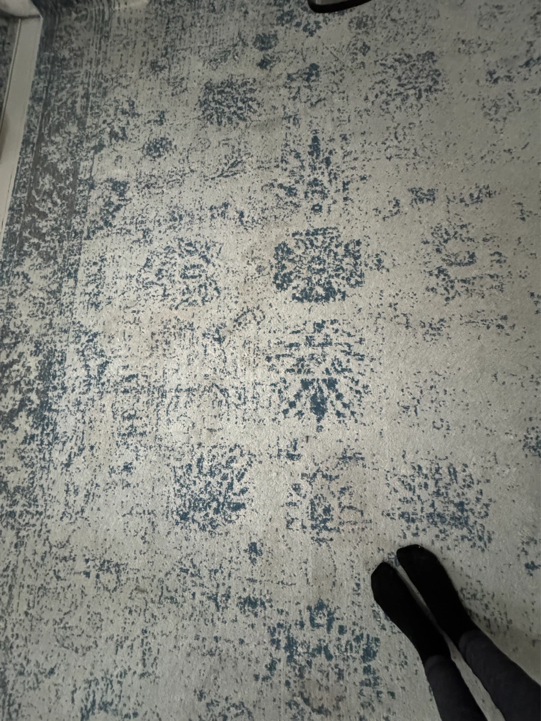 Large Distressed Medallion Area Rug  8 x 11