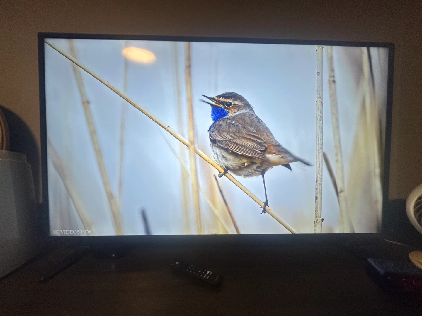 Insignia 50" LED 4K HDR Smart TV