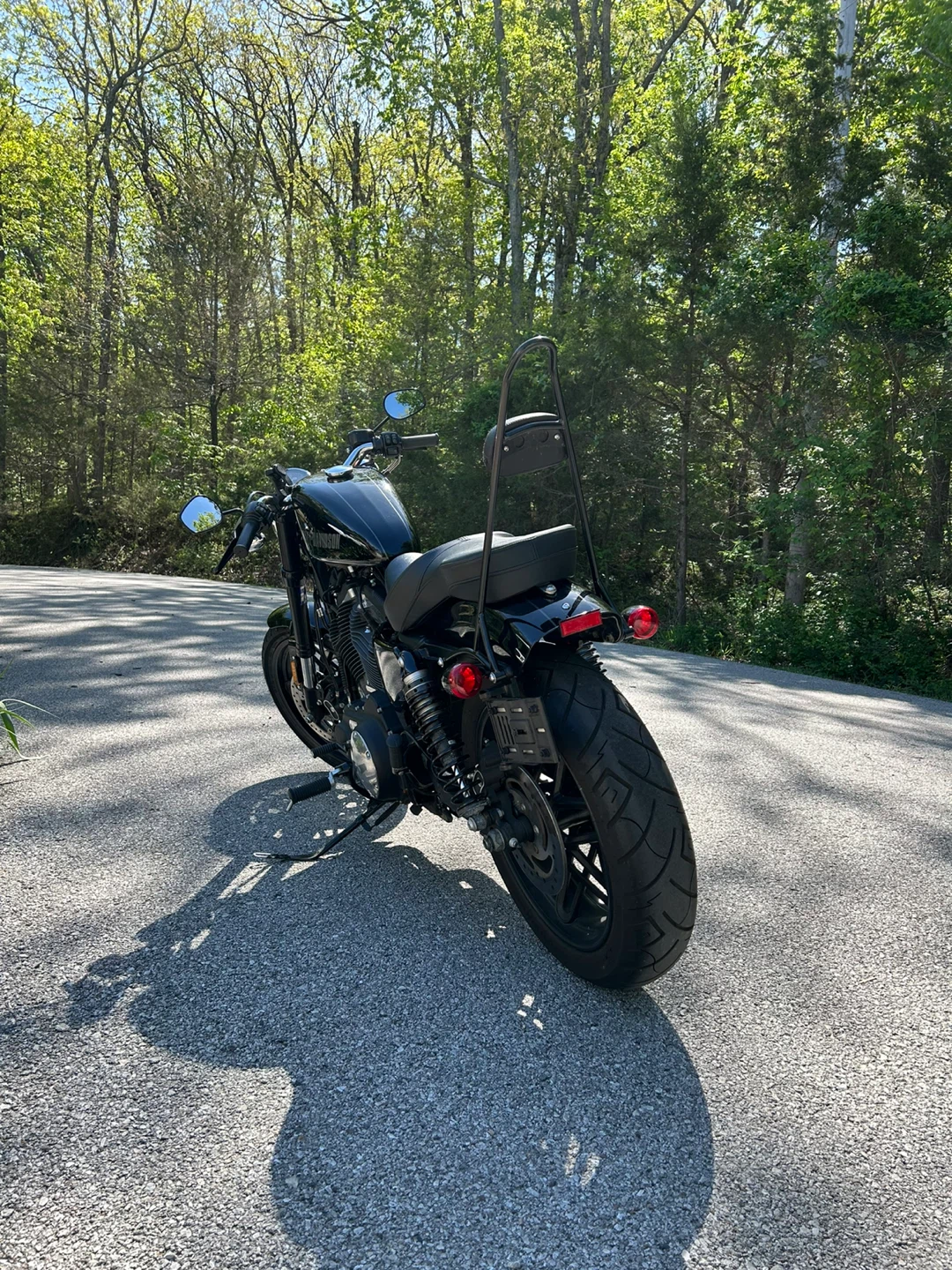 2016 Harley-Davidson Roadster XL1200CX - photo 4