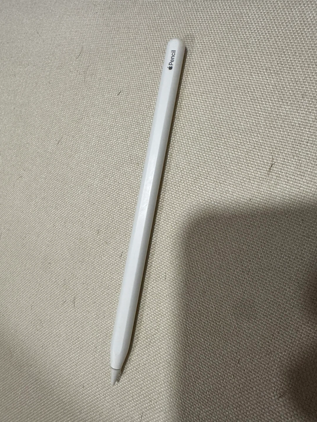 Apple Pencil (White) pro - photo 2