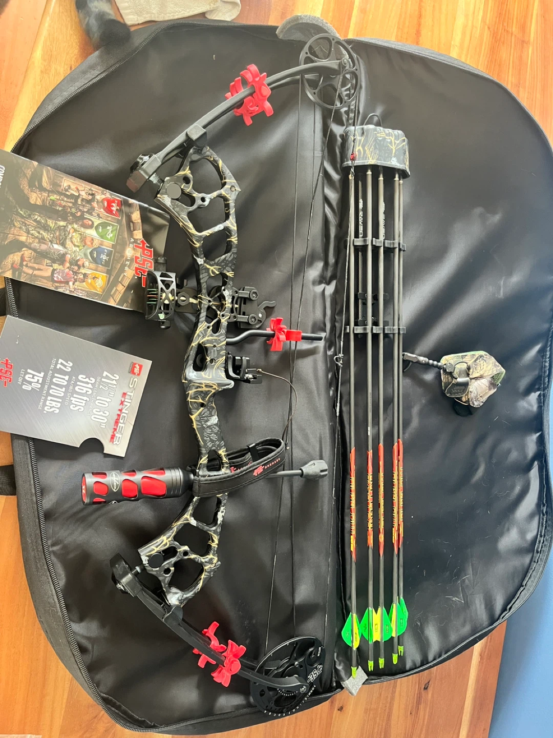 Stinger Compound Bow with Arrows and Case