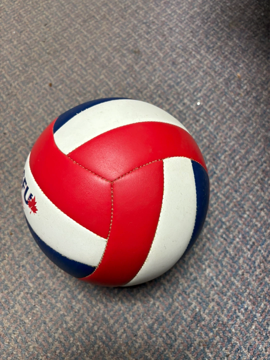 Mikasa Volleyball