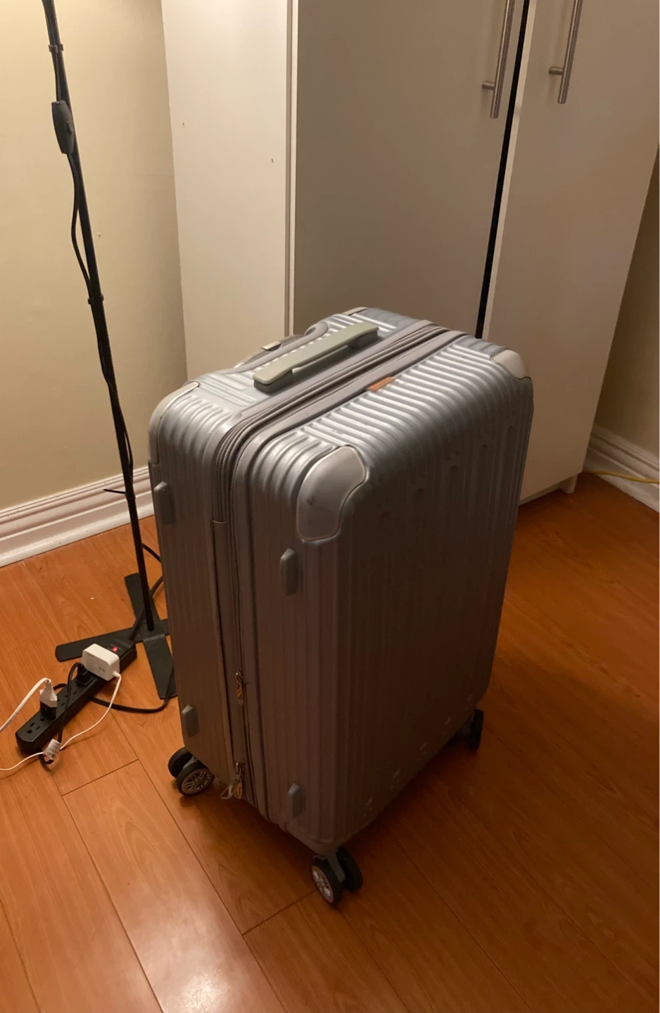 Silver 24” Hardshell Spinner Suitcase