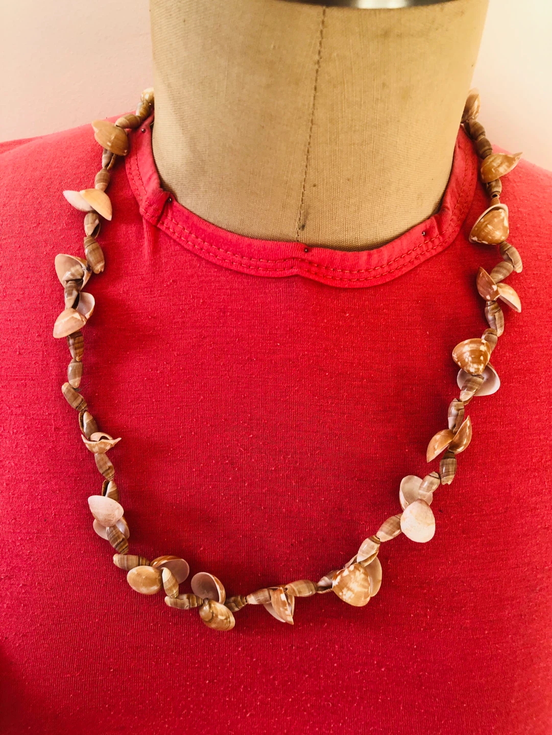 Seashell Necklace