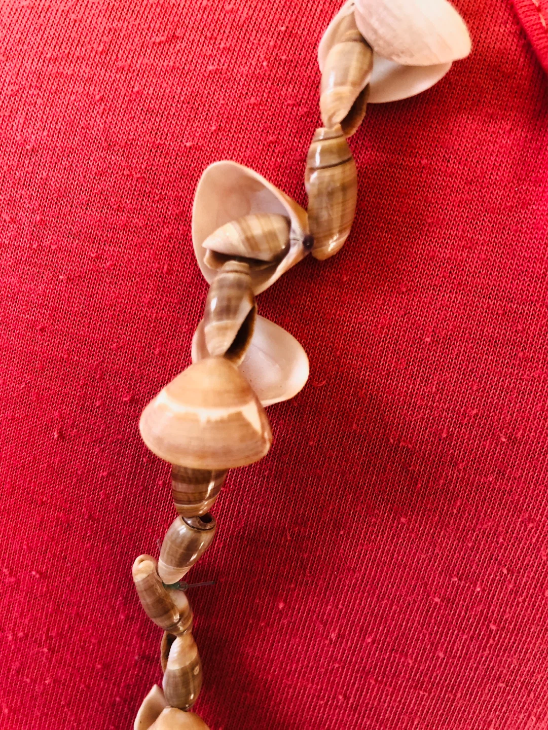 Seashell Necklace - photo 2