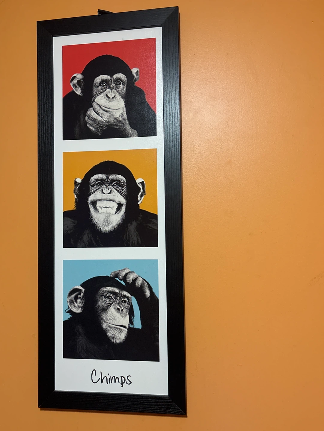 Framed Wall Art - Three Chimpanzees - photo 2