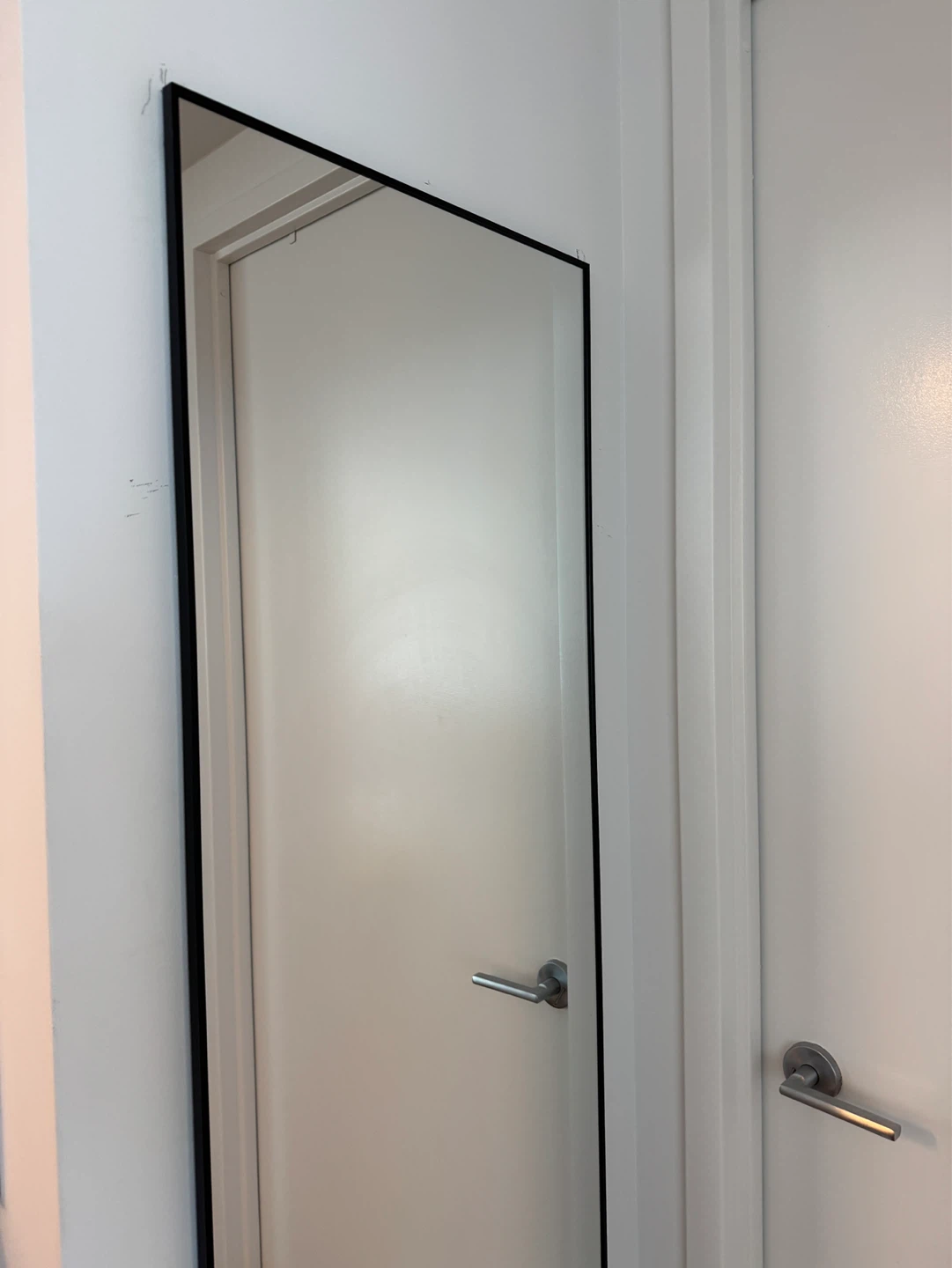 Full body mirror 63 x 20.15in