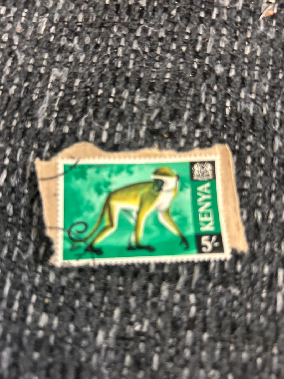Kenya 5c Stamp - Monkey
