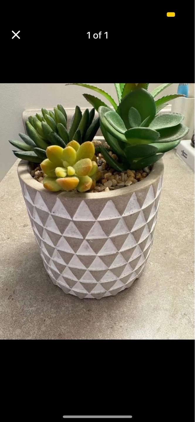 Faux Succulent Plant in Geometric Pot