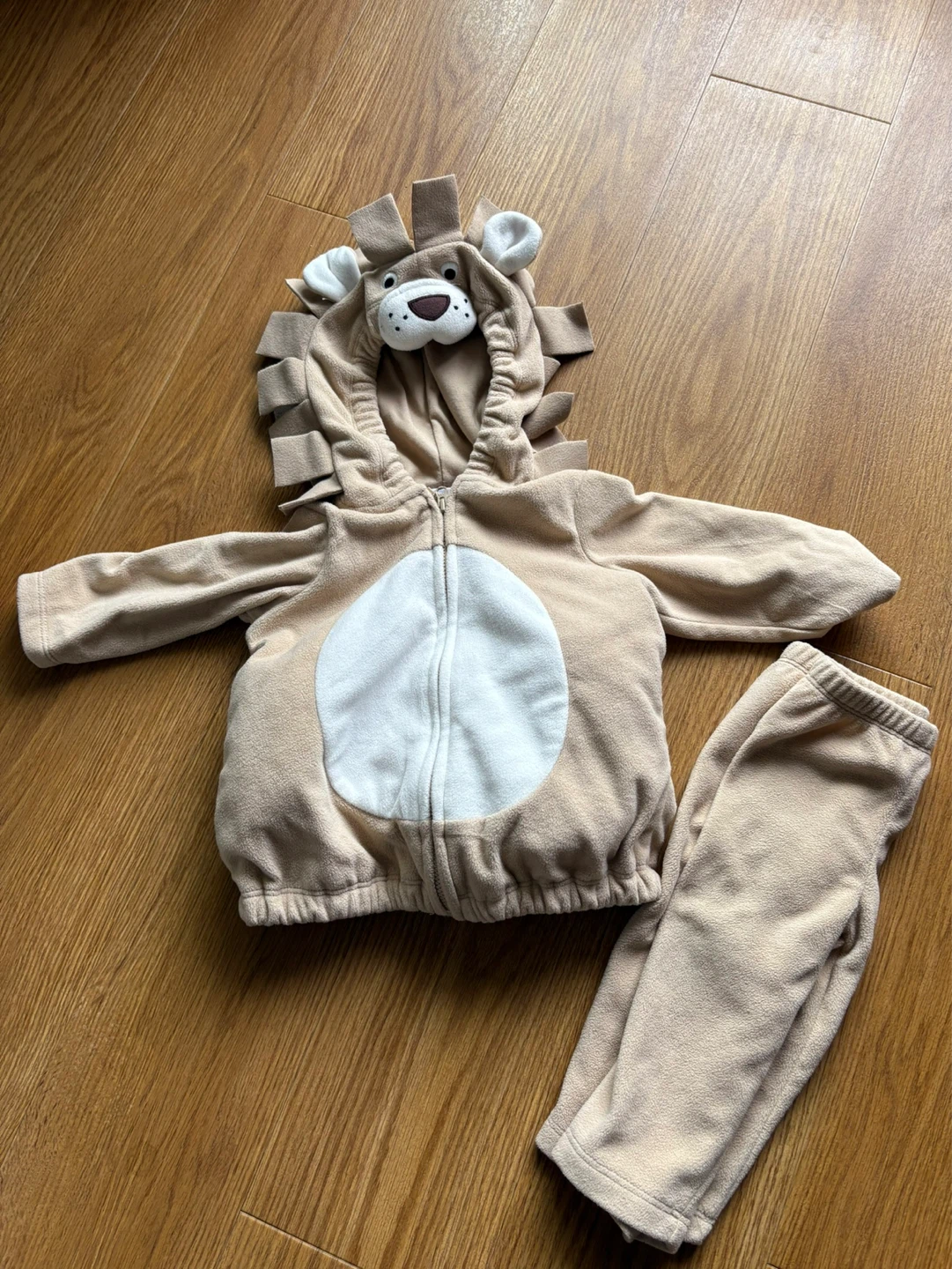Baby Lion Costume Outfit