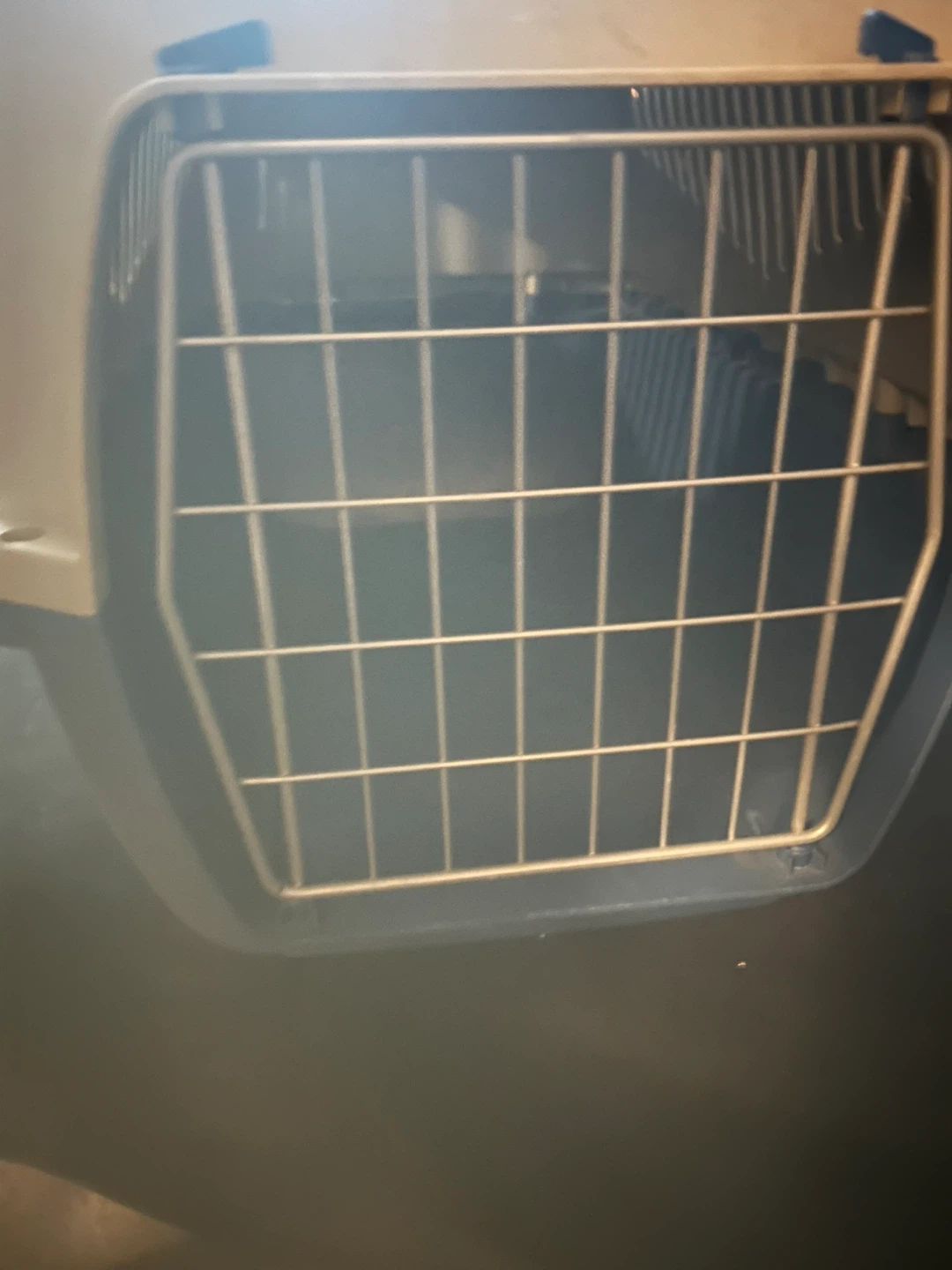 Medium Size Pet Carrier - photo 3