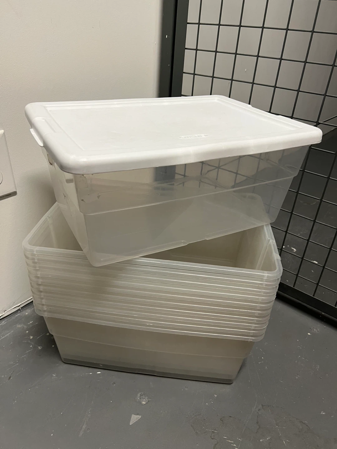 10 Clear Storage Bins with Lids