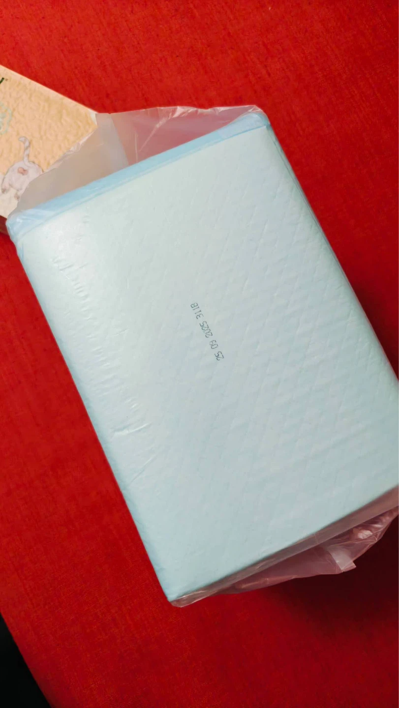 Pack of Puppy Training Pads - photo 2