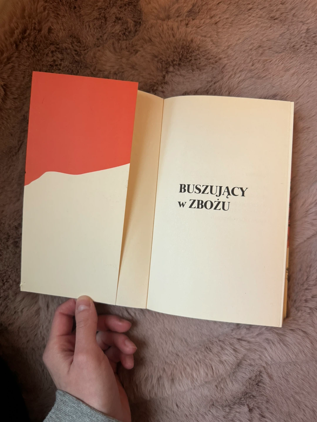Buszujacy w Zbozu J.D. Salinger Book - photo 4