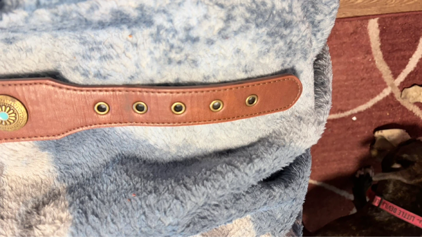 Brown Leather Dog Collar with Turquoise Embellishments - photo 5