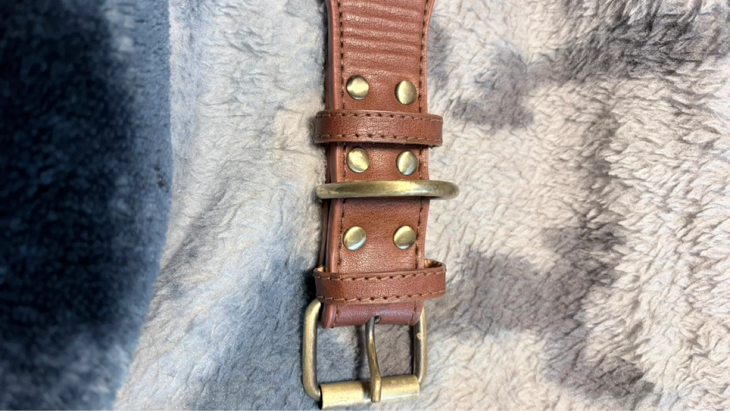 Brown Leather Dog Collar with Turquoise Embellishments - photo 2