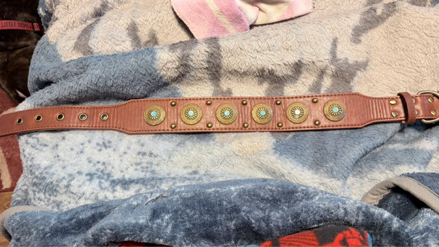 Brown Leather Dog Collar with Turquoise Embellishments
