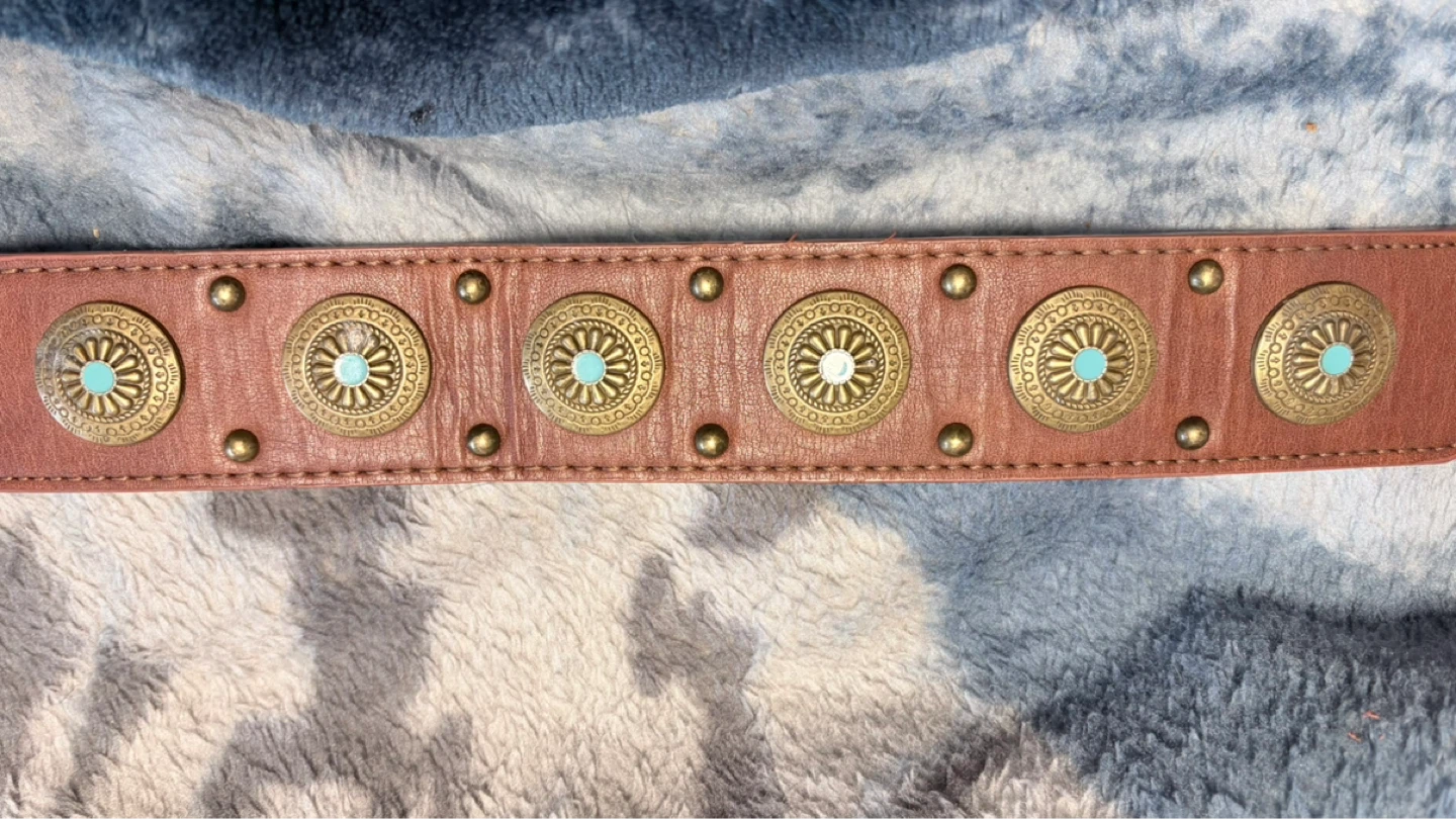 Brown Leather Dog Collar with Turquoise Embellishments - photo 4