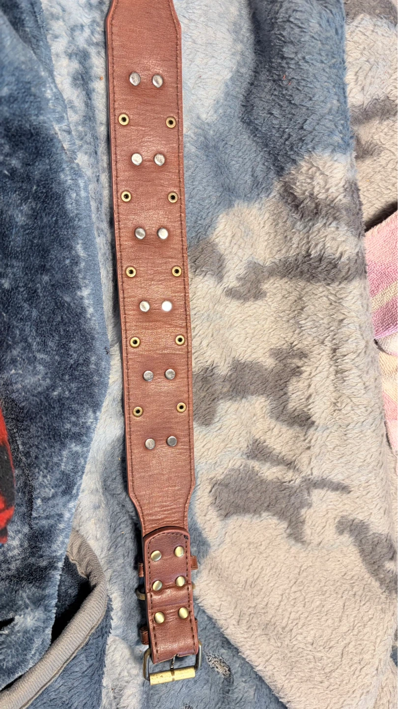 Brown Leather Dog Collar with Turquoise Embellishments - photo 3