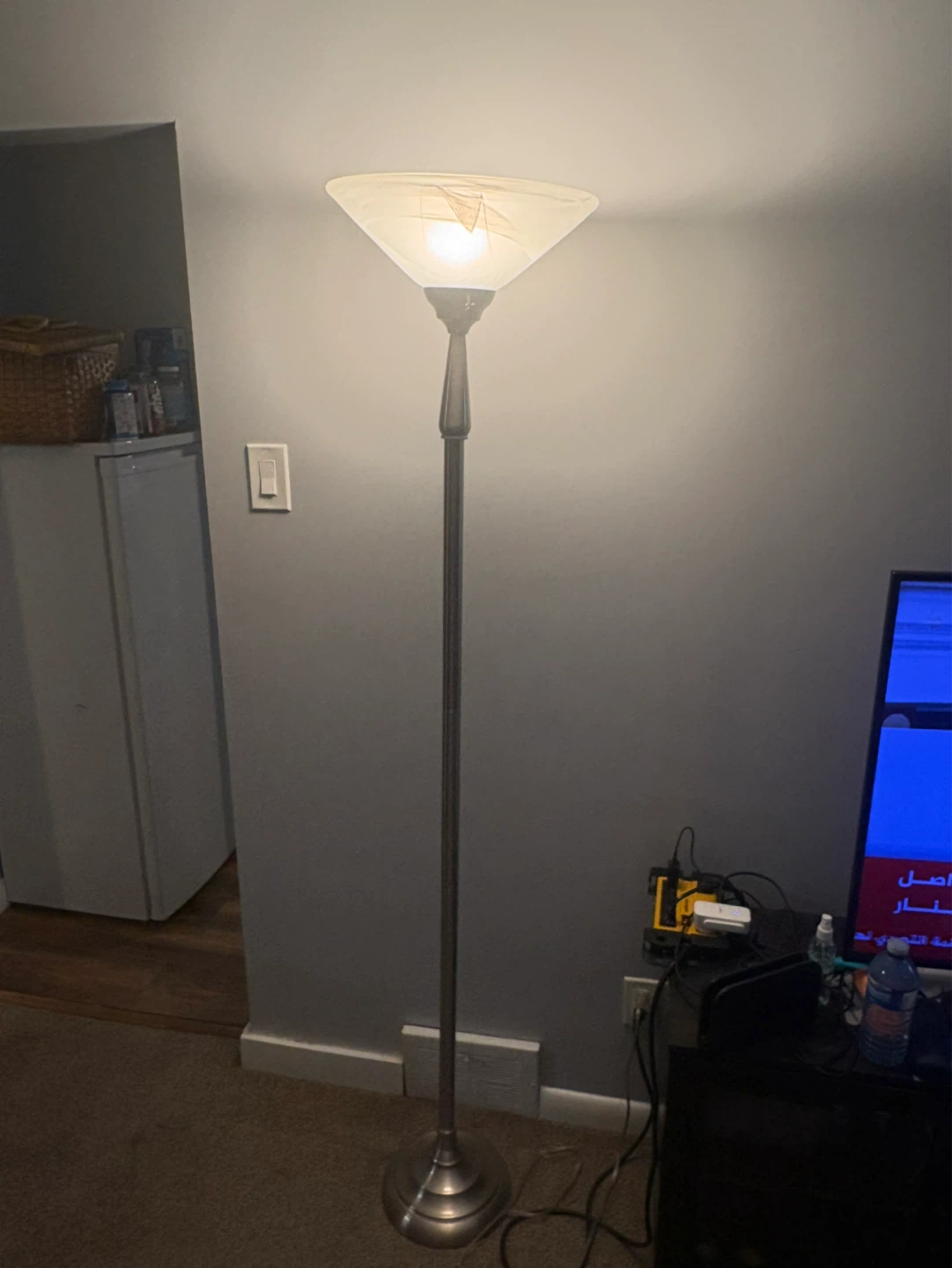 Free delivery used Floor Lamp with Frosted Glass Shade