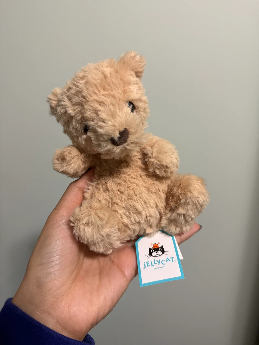 Jellycat Teddy Bear Plush Toy