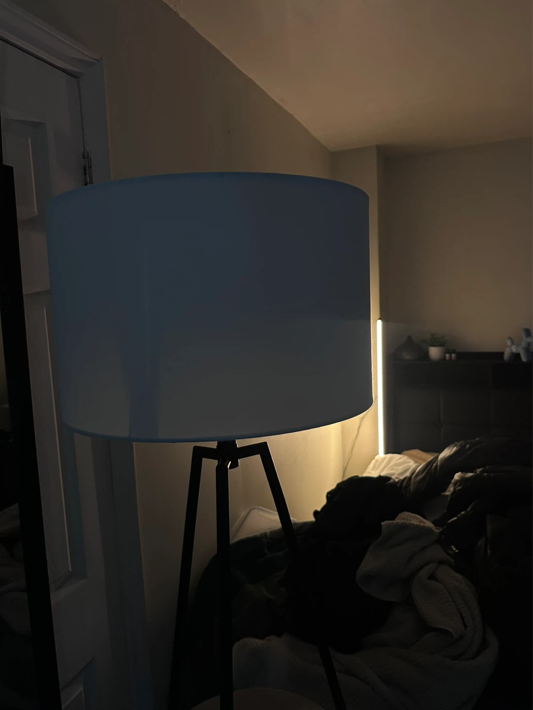 Floor Lamp with 2 Shelves