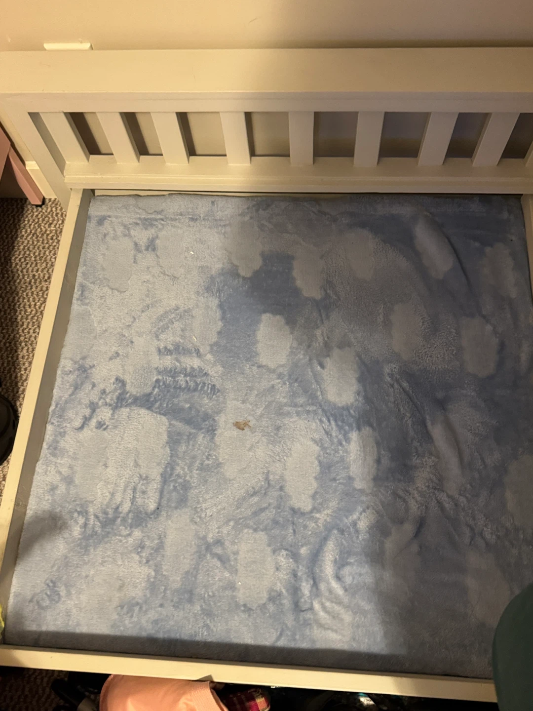 Dog bed