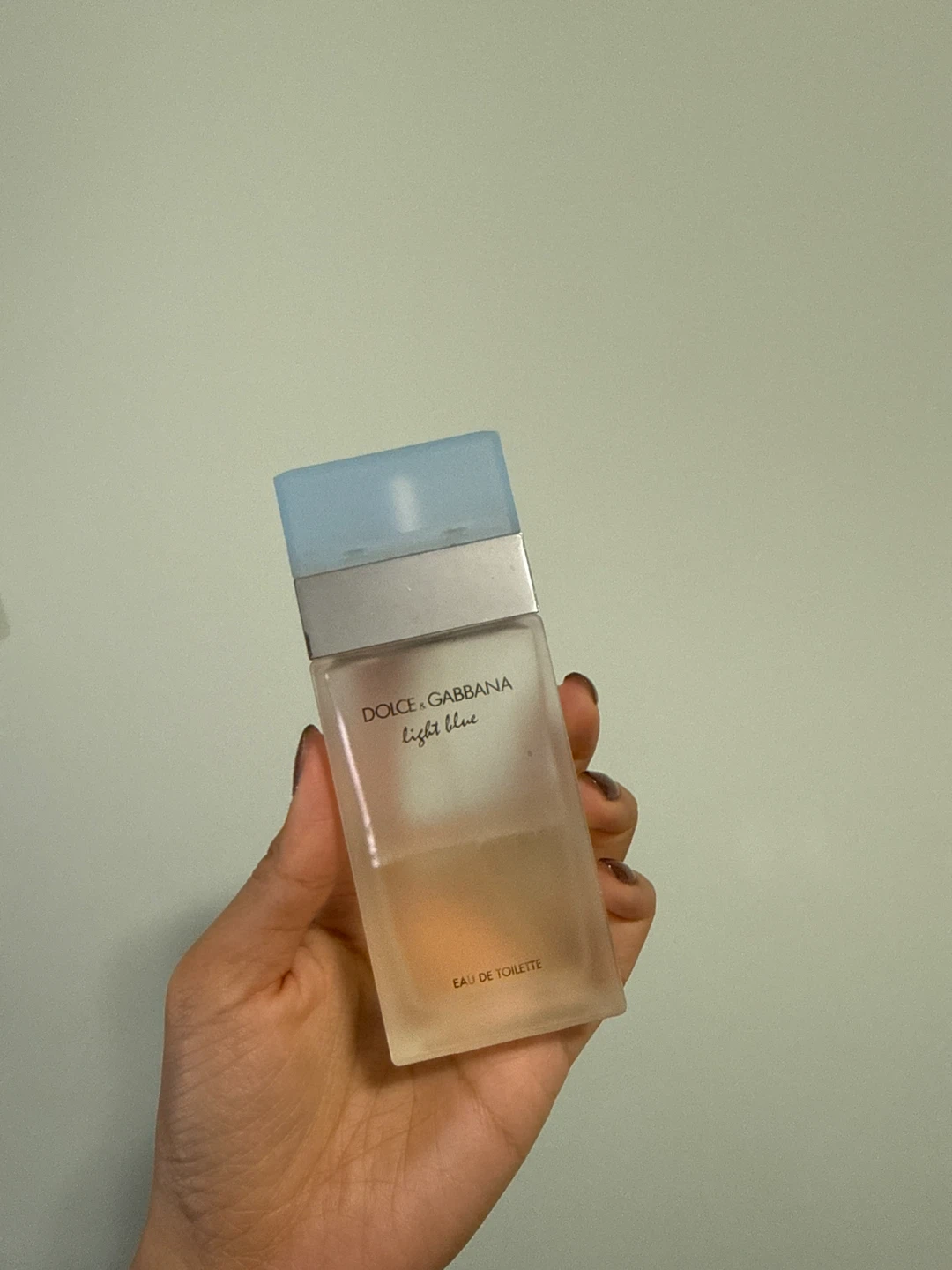 Dolce & Gabbana Light Blue Eau de Toilette Spray