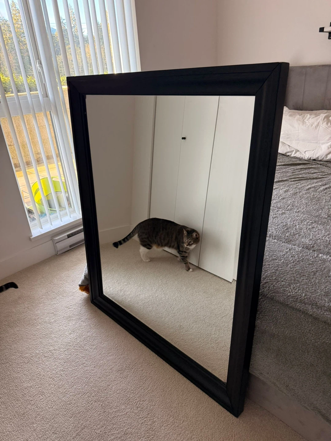 Large solid Wood Framed Mirror - photo 3