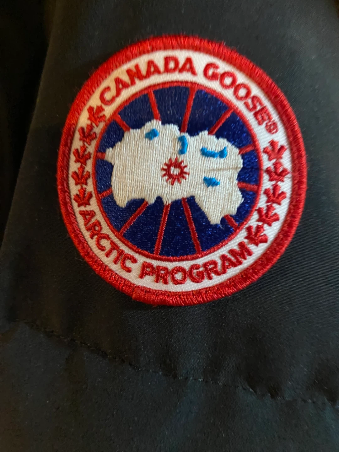 Canada Goose  (best offer takes it )