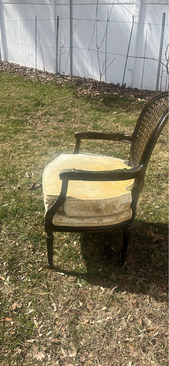 Vintage Cane Back Armchair - photo 2