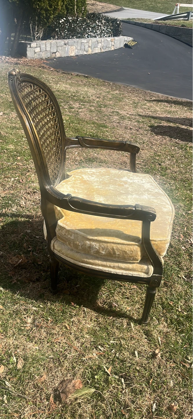 Vintage Cane Back Armchair