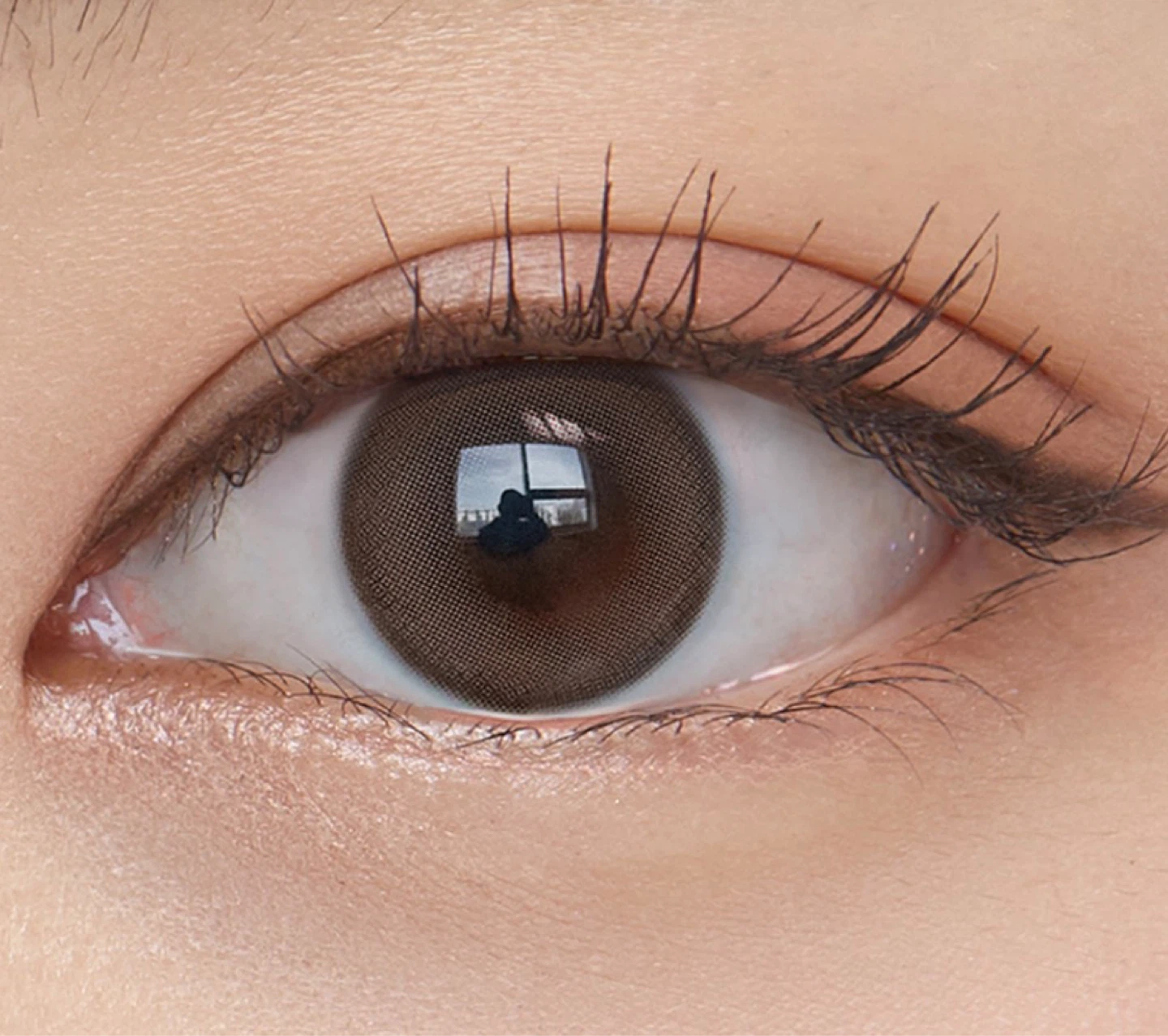(pair) OLENS Misty Ash Choco Daily Contact Lenses - photo 3