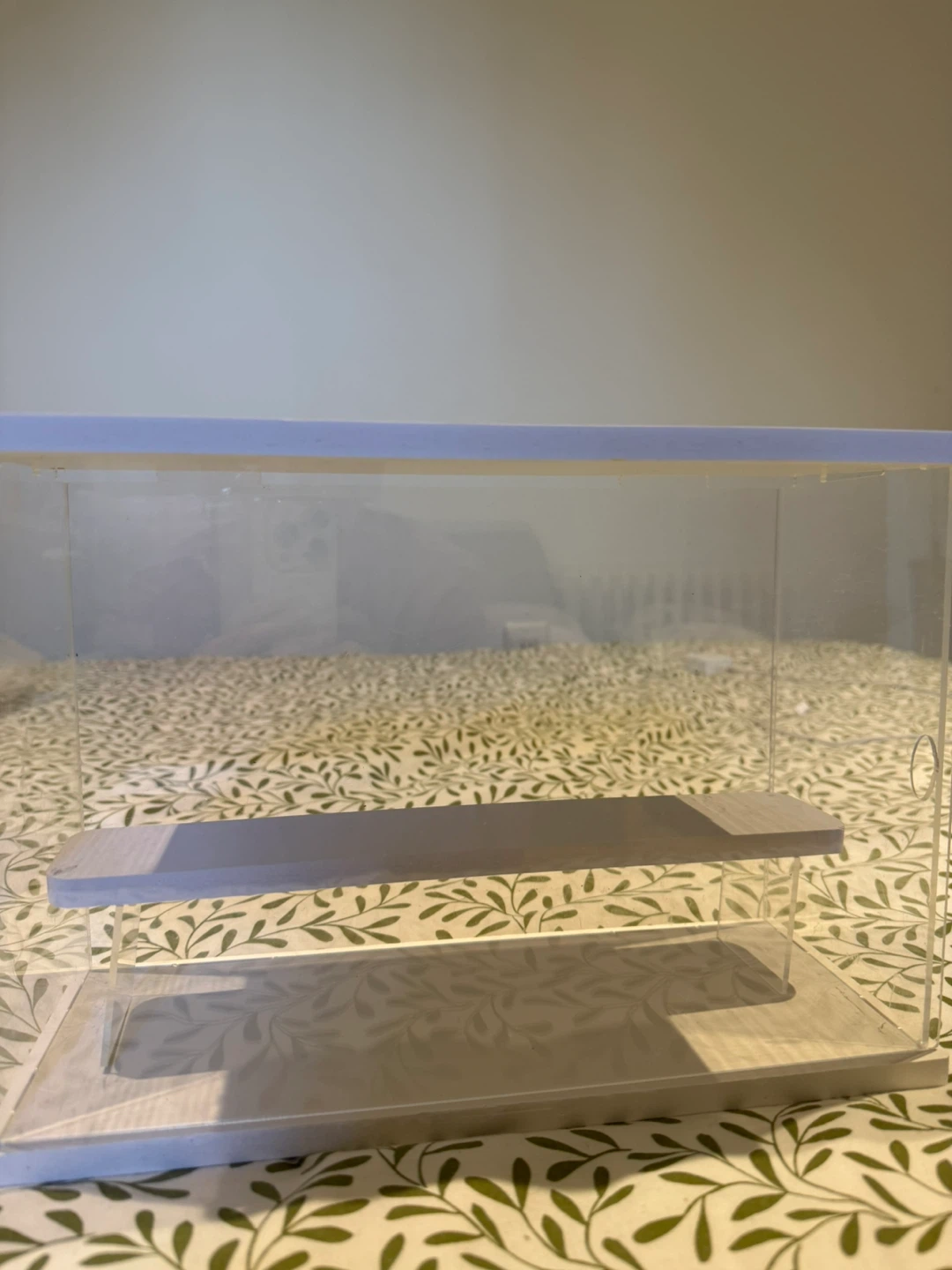 Clear Display Case with Shelves