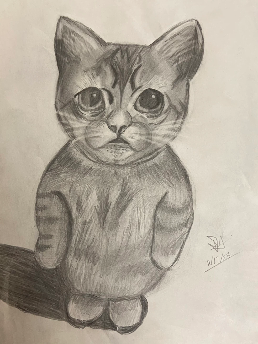 Silly Cat Drawing - photo 2