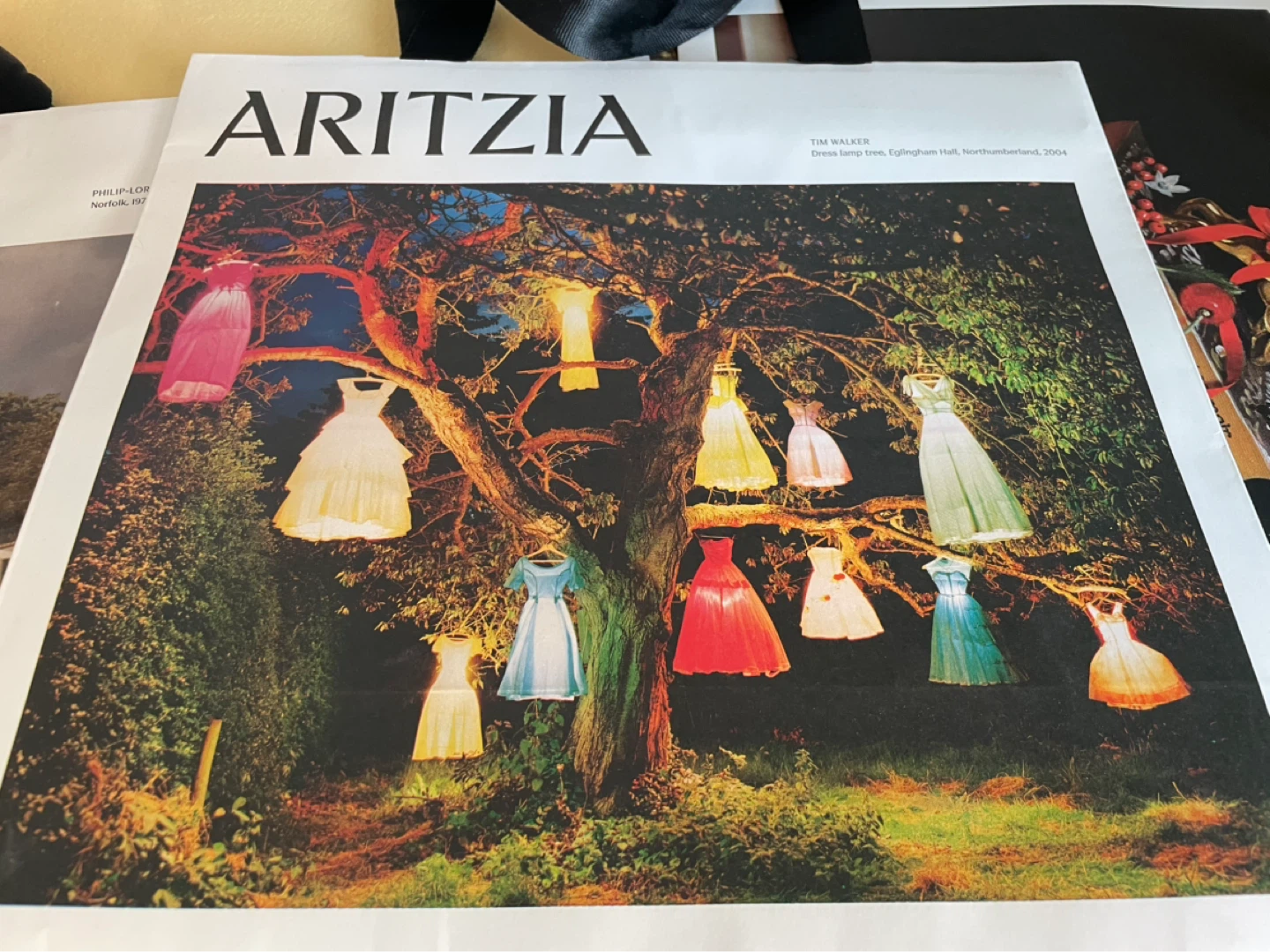 Aritzia Shopping Bag Collection of 9 - photo 5