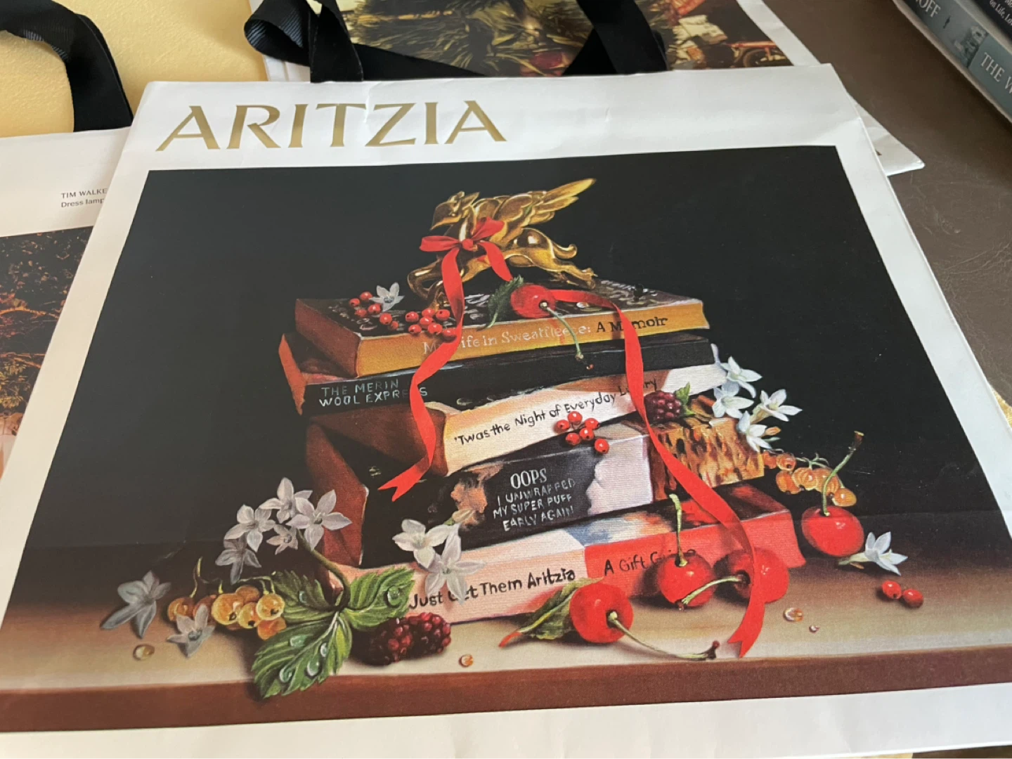 Aritzia Shopping Bag Collection of 9 - photo 4